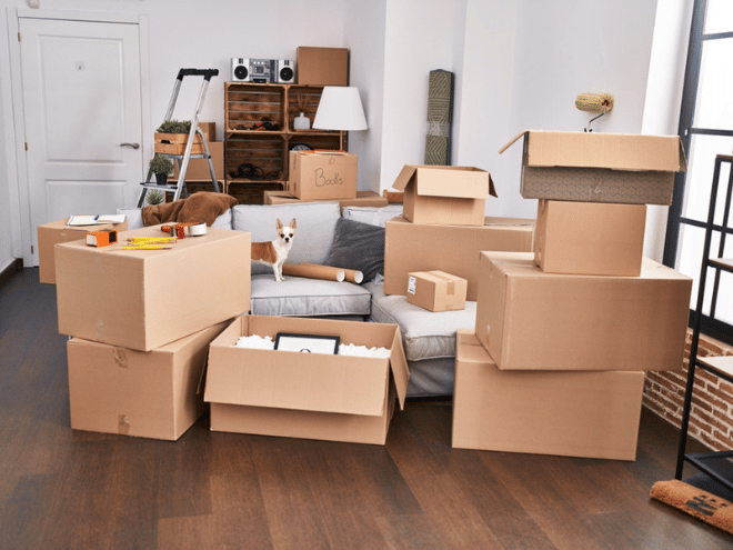 Cartons préparés dans un logement